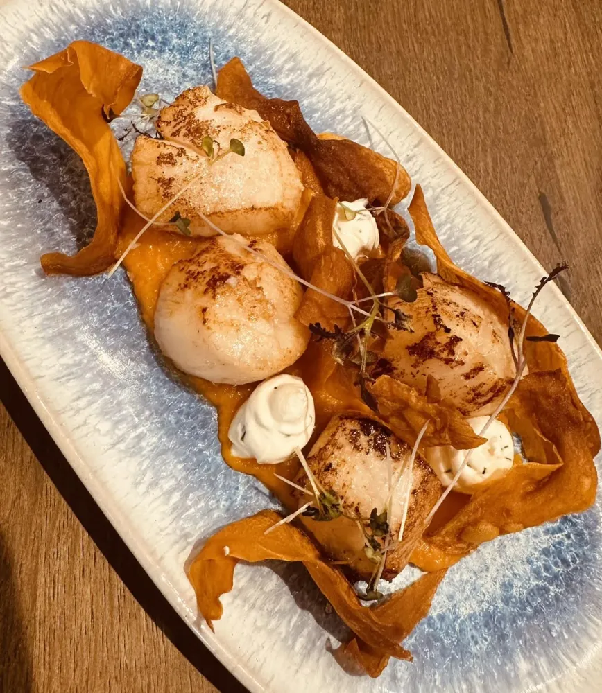 Noix de Saint-Jacques et velouté